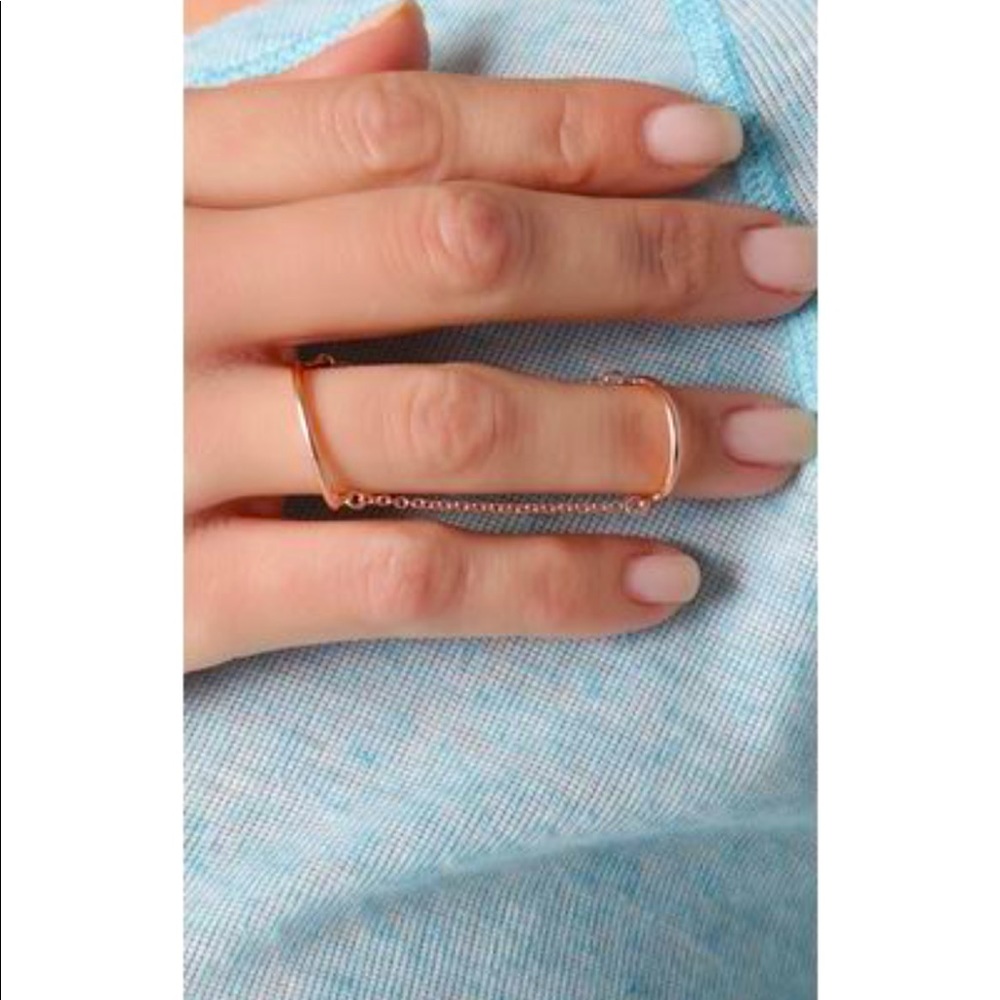 14K rose gold-vermeil double wire chain ring